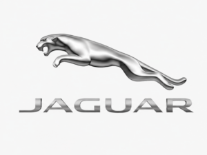 Wiązka elektryczna Jaguar OEM C2D50800